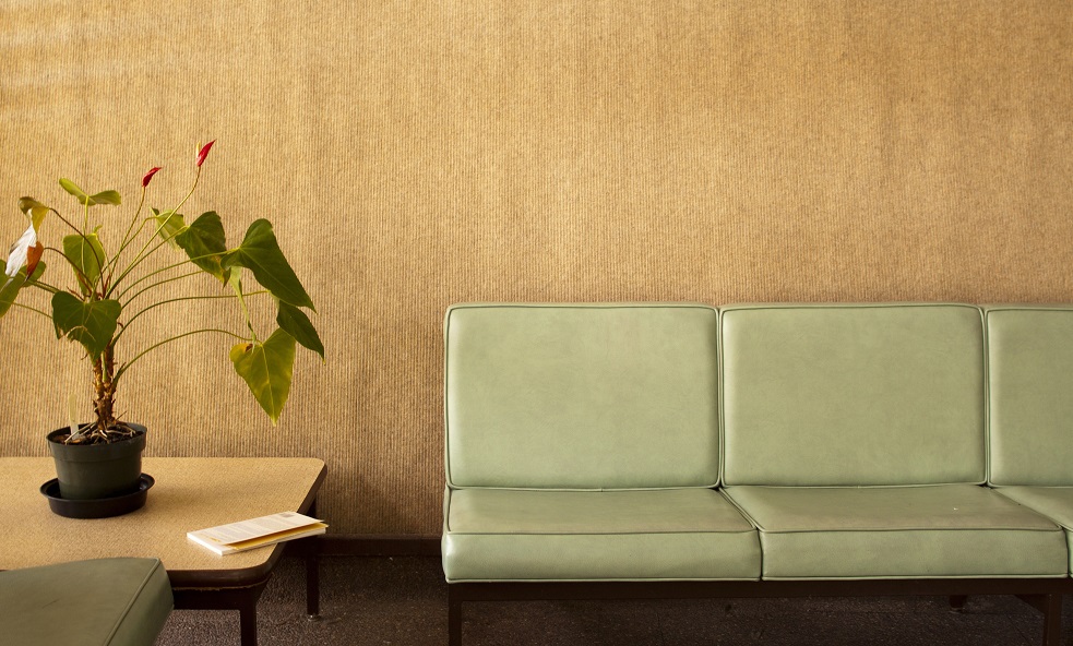 Room,With,Chairs,,Potted,Plant,And,A,Book